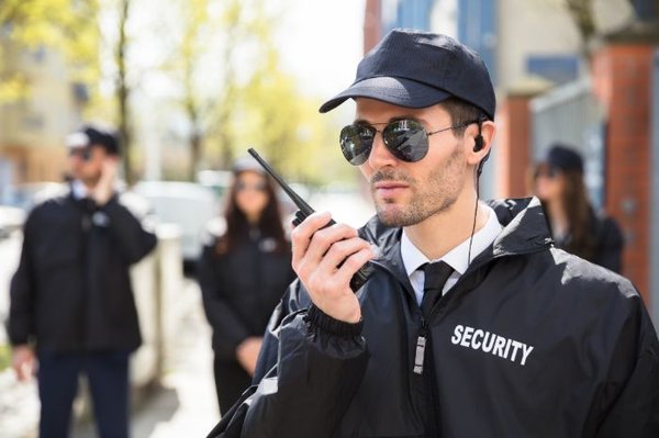 Professional Protection Services International
