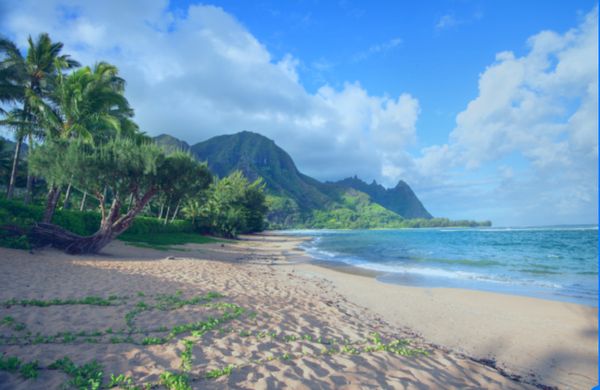 Lawyer Service Hawaii