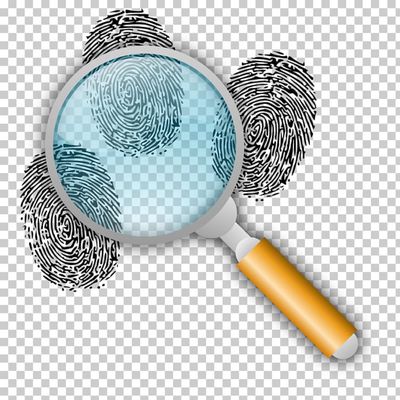 Tee and Em Investigations