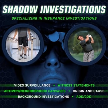 Michigan Council of Professional Investigators