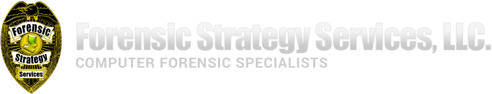 Forensic Strategy Services