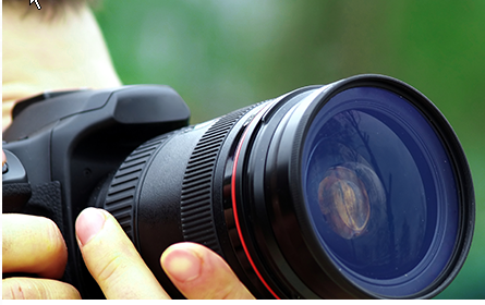 Nickels Professional Investigations