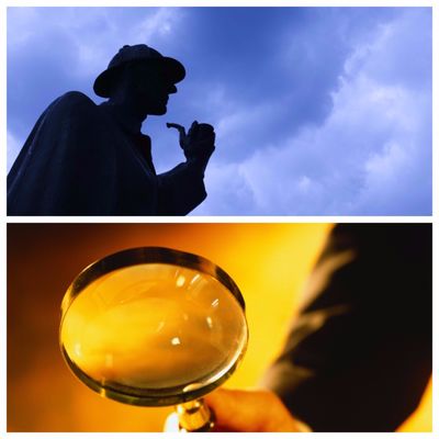 Bleu Wing Investigations