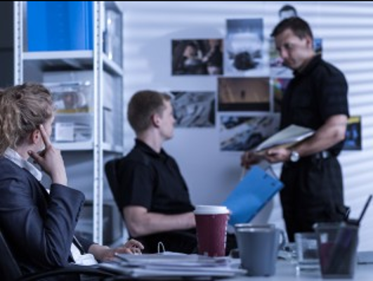 Therrell Private Investigations