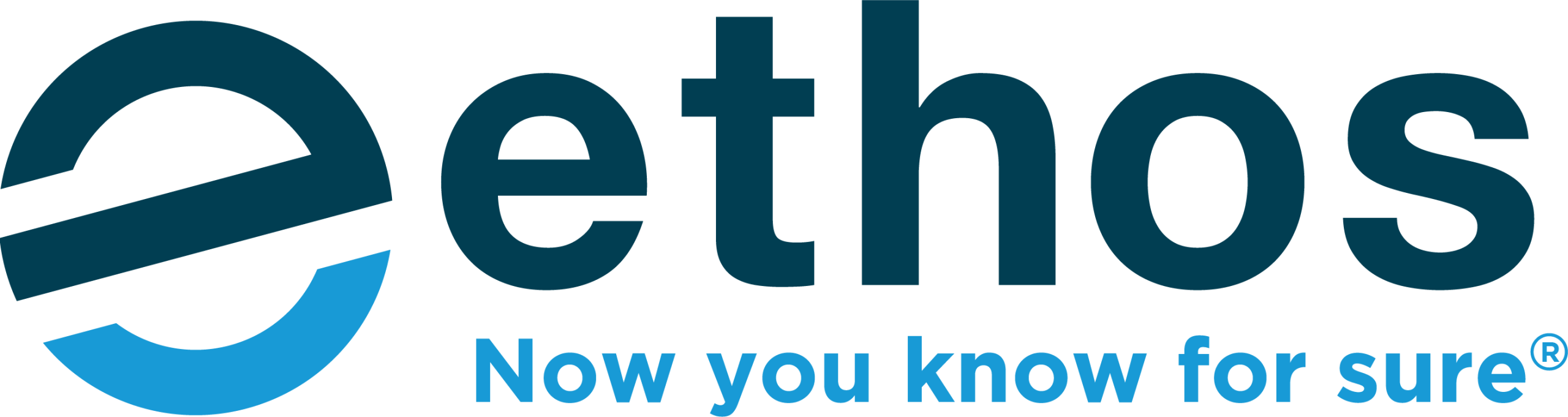 Ethos Risk Services