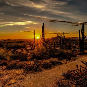 Serving Maricopa Area