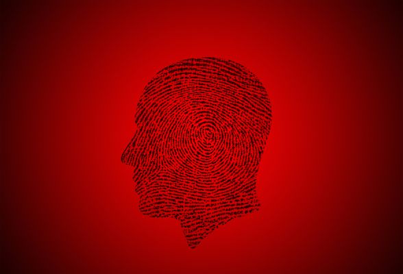 Carlson Investigations